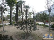 南北通边套,视野好,采光充足,配套齐全