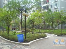 回兴 宝桐花园三房54万