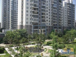 马王堆银港水晶城配套齐全精装四房拎包入住产权清晰