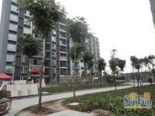 华岩新城 石龙小区二房38万