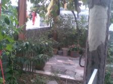 冉家坝 海沁小区五房