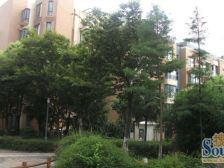 魅力之城3室2厅2卫南朝向1080.00万元/套出售