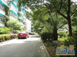 新二村3室1厅东南北