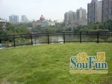 农业园区 皇洋伽蓝艺墅一期四房245万