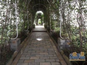 利通天鹅堡 2室1厅 南