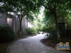 汇景樱桃季2室1厅东