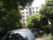 章浜新村 带阁楼 精装修 全明户型 业主诚意卖