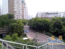 住家安静,朝小区中庭,近龙头寺公园,高楼层,采光好