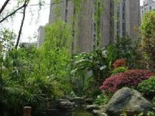 星城汇住家装修四房出售采光充足