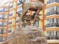 飞天家园 小户型 朝南