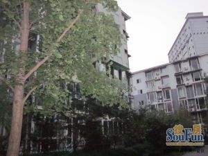 东方魅力水云涧3室2厅东南