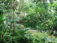 景湖蓝郡复式两层带大露台 户型通透 满五唯一