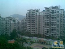 黄旗山下 308平米大平层 4.5米客厅 上下错层使用率高