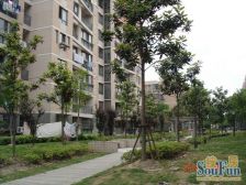 近地铁,无抵押,精装刚需上车,业主诚意