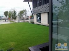 仙林悦城 4室1厅 东