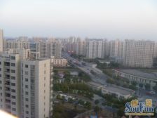 金橘新苑(北区) 1室1厅 南