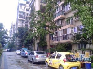 西安路小区3室2厅东北