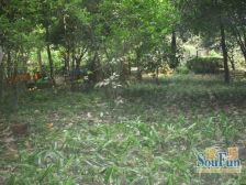 人民中路二段49号 2室1厅 南