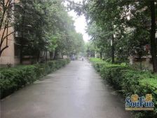 泰山新城桂花苑 4室2厅 南