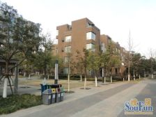 七宝·万科朗润园 大二房采光楼层