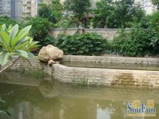 精装修别墅 带车位 带花园 户型方正 安静