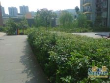 南岸区弹子石正规2房楼下公交 业主急售,朝中庭