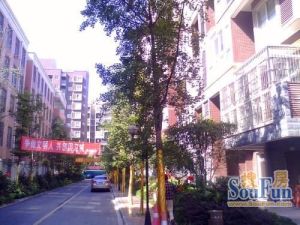 欧城雅典1室1厅南