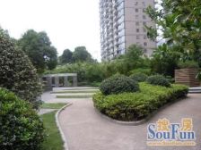 好户型,大阳台,看小区花园,急售出房源