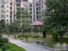 小区中间楼栋 安静 视野好 保养好 业主诚心