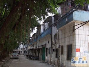 满五唯一.通风采光都好,随时可签