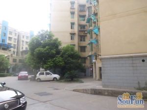 新开铺中轴 师大附 中 出家门进校门 户型通透楼层好