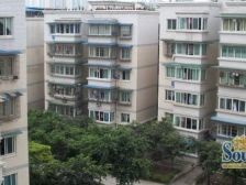 人和 人和花园B区二房60万