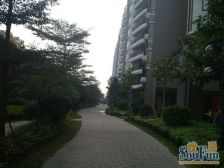 星宝商圈,住宅户型,全屋定制装修,拎包入住