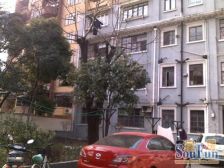 音苑小区3室1厅1卫南