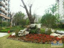 天塌了给钱必卖 · 宝宸共和家园 · 南北通大两房两厅