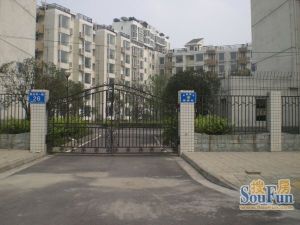 金泉阳光畅新苑2室1厅东北