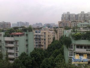 川大与文里3室2厅东南
