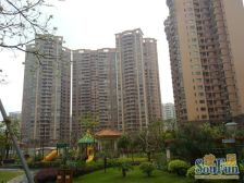 君汇华庭 4室1厅 东南