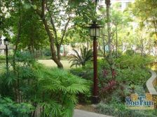 高新区 建工太阳公馆一房26万