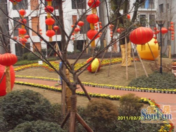 泽科兴城