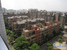 一城三期3+1户型,南向看花园,诚心出售,楼龄较新