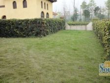 上邦静静的墅 联排别墅 花园方正 位置安静