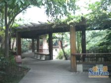 鹭岛国际一二期 3室1厅 东