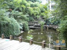 鹭岛国际一二期 5室1厅 南