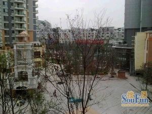 鹭岛国际四期1室1厅南