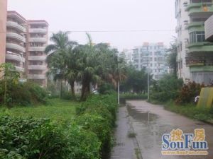 红旗海华新村 1室1厅 东南
