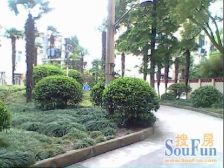 拎包入住+近城市沙滩+生活设施方便+300米有牙防所!!