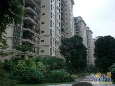 中信森林湖香樟林 上下共两层 花园250平 有钥匙看房