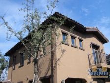 麓山国际香怡林 6室2厅 南 北