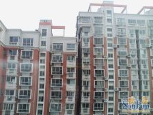 面朝森林海,4房电梯顶楼大复式,视野开阔,位置安静